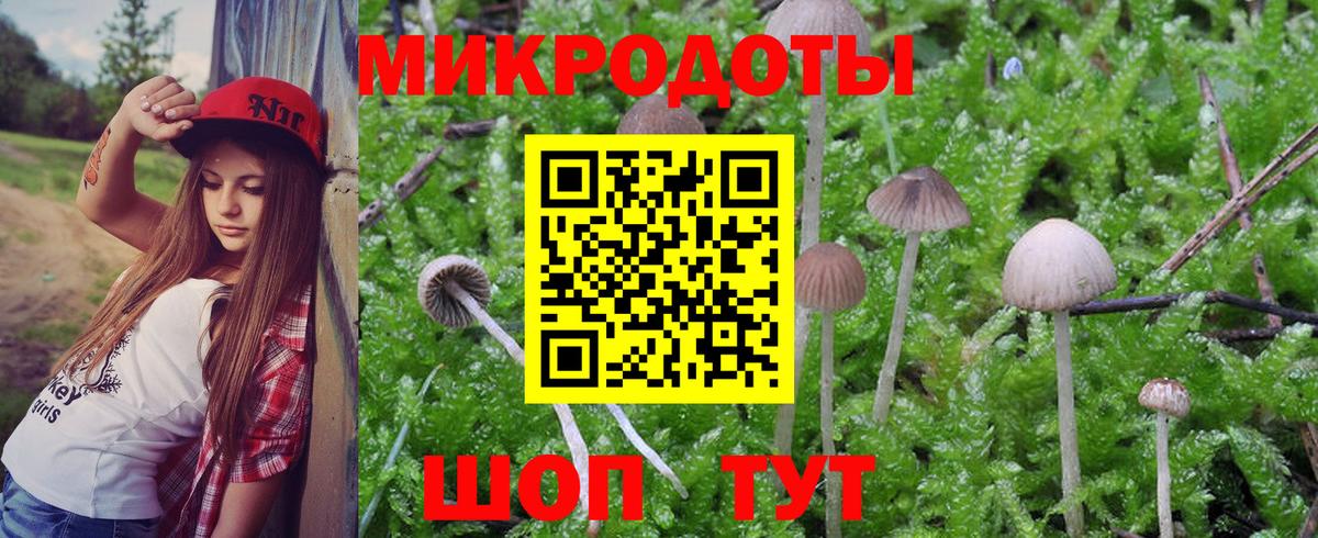 закладка  Псилоцибиновые грибы Psilocybine cubensis  Вход с VPN  Кумертау 